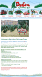 Mobile Screenshot of bigjohnstrees.com